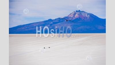 Uyuni Salt Flats (salar De Uyuni) 4wd Tour Seen From Island Called Isla Incahuasi, Uyuni, Bolivia, South America