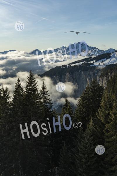 Montagnes Aux Sommets Enneigés Et Paysage Forestier Avec Ciel Bleu à La Station De Ski De Morzine Dans Les Alpes De France, Europe