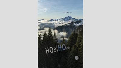 Montagnes Aux Sommets Enneigés Et Paysage Forestier Avec Ciel Bleu à La Station De Ski De Morzine Dans Les Alpes De France, Europe