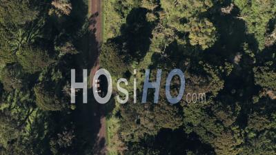 Véhicule à 4 Roues Motrices Roulant à Travers Un Paysage Forestier Dans Le Parc National D'aberdare, Kenya, Afrique. Vue De Dessus Du Vue Aérienne Par Drone