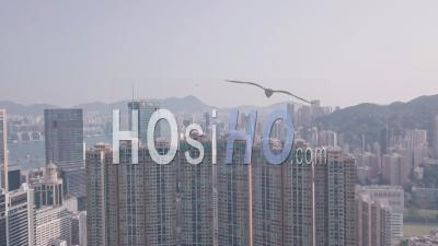 Residential Buildings And Skyscrapers In Happy Valley, Hong Kong. Aerial Drone View