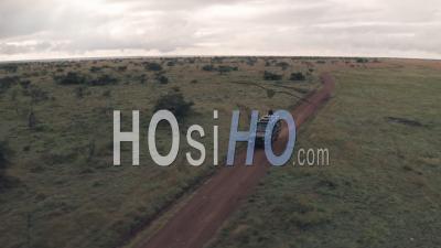 Woman Sitting On Top Of Vehicle While Driving On Wildlife Safari Holiday Adventure In Kenya. Aerial Drone View