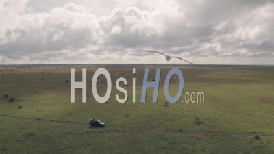 Homme Assis Au Sommet De 4 Roues Motrices Lors D'une Aventure De Safari Animalier Au Kenya. Vidéo Aérienne Par Drone