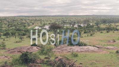 Photographer Photographing African Landscape In Laikipia, Kenya. Aerial Drone View
