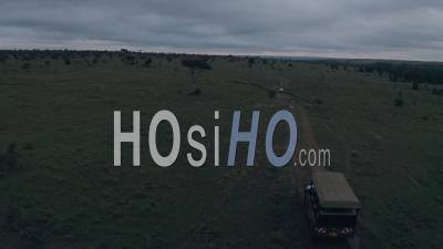 Safari Game Drive à L'aube à Laikipia, Kenya, Afrique. Vidéo Aérienne Par Drone Suivre