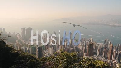 Une Belle Vue Depuis Le Pic Victoria De La Ville Paisible De Hong Kong Et La Baie De Kowloon - Plan Large