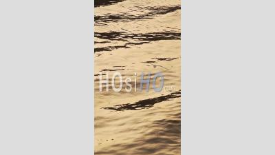 Vertical Background Video Of Flowing Water, A Nature Abstract With Ripples During An Orange Sunset