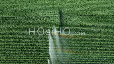 Crop Sprinklers In Corn With A Rainbow, France - Video Drone Footage