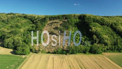 Dégagement Forestier, France, Point De Vue De Drone