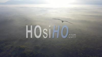 Drone Shot Sun Light At The Forest With Misty Fog Near Kulim, Kedah, Malaysia.