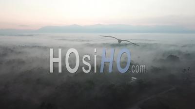 Sea Of Clouds At The Rural Area Of Karangan, Kedah - Video Drone Footage