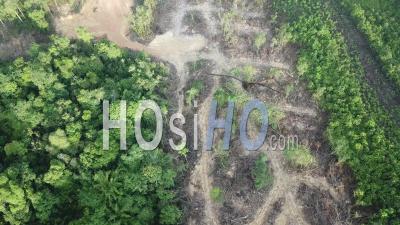 Land Clear Pour La Transition Vers D'autres - Vidéo Filmée Par Drone