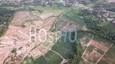 Peatland Plantation Near Malays Kampung At Mengkuang - Video Drone Footage