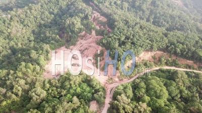 Deforestation Of Forest In Day - Video Drone Footage