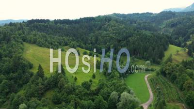 Slovenia's Green Meadows And Forests - Video Drone Footage