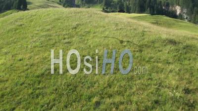 Roches Et Prairies Vertes, Granges Dans Les Alpes Suisses - Vidéo Aérienne Par Drone