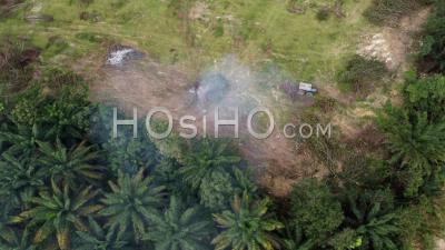 Tractor Push The Dry Tree To Open Burn. - Video Drone Footage