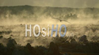 Activité Hydrothermale à Dallol, Au Nord De L'Éthiopie