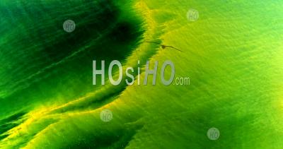 Algues Bleues Ou Vertes De Cyanobacteries Visibles En Surface Sur La Mer Baltique - Photo Drone