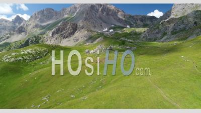 Troupeau De Vache En Pâturage Alpin, Hautes-Alpes, France, Vu Du Drone,