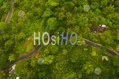 Top Down Overhead Aerial View Of A Car Driving On The Asphalt Road Through Lush Green Jungle Car On The Road Passing Rural House In The Rainforest In Bali, Indonesia - Aerial Photography