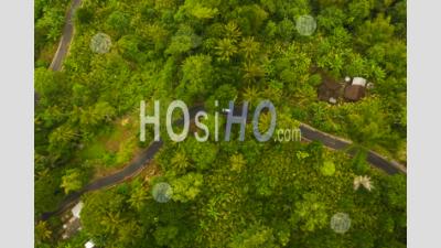 Vue Aérienne De Haut En Bas D'une Voiture Roulant Sur La Route Goudronnée à Travers La Jungle Verte Luxuriante Voiture Sur La Route Passant Maison Rurale Dans La Forêt Tropicale à Bali, Indonésie - Photographie Aérienne