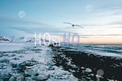 View Over Diamond Beach In Iceland With Ice Cubes On The Ground Hq - Aerial Photography