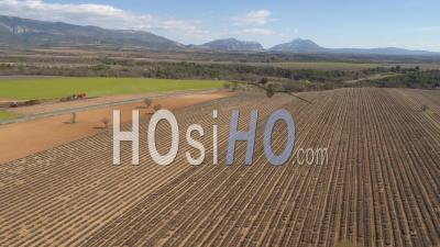 Lavender Field Plowed In Spring On Plateau De Valensole, - Video Drone Footage