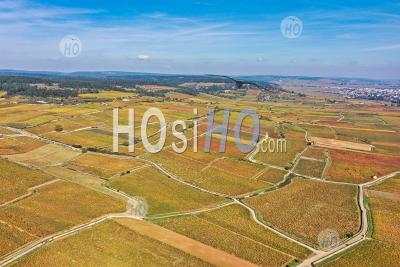 Aerial View If The Vineyard In Autumn In Burgundy Seen By Drone