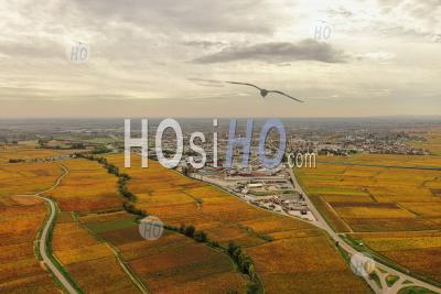 Vue Aérienne Si Le Vignoble à L'automne En Bourgogne Vu Par Drone