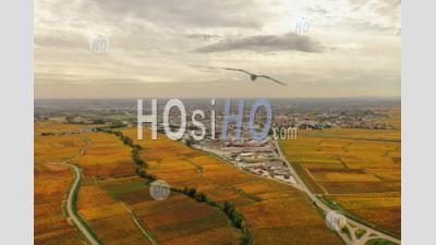 Aerial View If The Vineyard In Autumn In Burgundy Seen By Drone