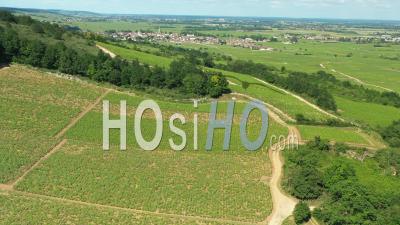 Aerial View Of The Vineyard Of Meursault In Burgundy Filmed By Drone