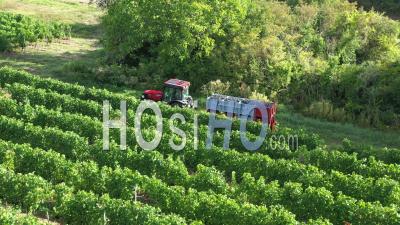 Récolte Dans Le Vignoble De Couchois - Séquence Vidéo Par Drone