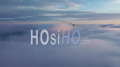 Flight Above The Clouds - Video Drone Footage