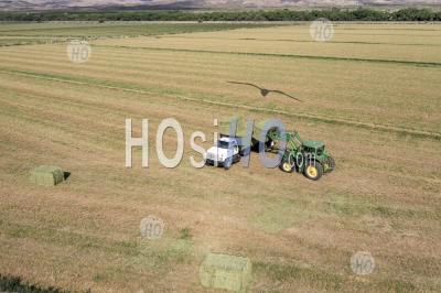 Alfalfa Harvest In New Mexico - Aerial Photography
