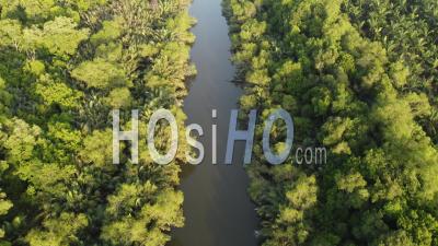 Aerial Look Down River With Green Bush Tree - Video Drone Footage
