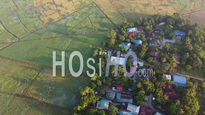 Malaisie Kampung House Près De La Plantation De Riz - Vidéo Par Drone