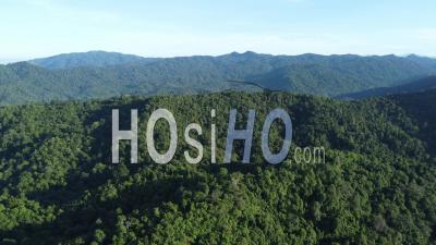 Aerial View Green Forest Of Malaysia - Video Drone Footage