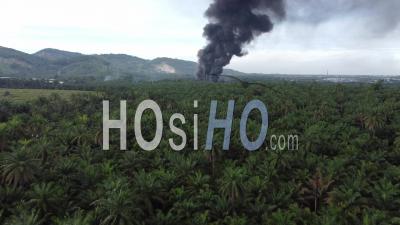 Aerial View Fire Burn Near Plantation - Video Drone Footage