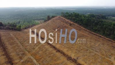 Land Clearing For Plantation - Video Drone Footage