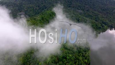 Aerial Sliding View Low Cloud Move Over The Lake - Video Drone Footage