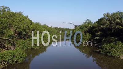 Voler En Contre-Plongée à La Petite Rivière Sungai Jawi - Vidéo Par Drone