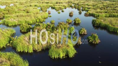 Peatlands And Marshes At Batu Kawan - Video Drone Footage