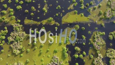 Aerial View Look Down Peatland - Video Drone Footage