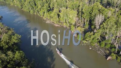 Bateau De Pêche Se Déplacer à Mangrove Tree Growing River - Vidéo Par Drone