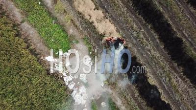 Aerial Rotating Look Down Open Fire And Rubbish Throw At Paddy Field - Video Drone Footage