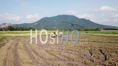 Yellow Harvester Used For Rice Harvesting In Malaysia - Video Drone Footage