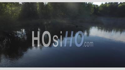 Brumes Du Matin Sur Un étang, Vidéo Drone