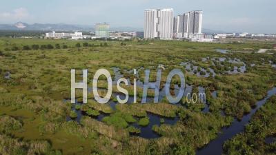 Aerial Top Down View Wetland - Video Drone Footage