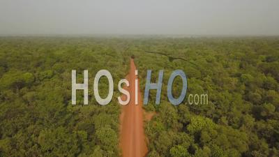 A Dirt Road In The Middle Of The Forest Kolda Region Senegal - Video Drone Footage